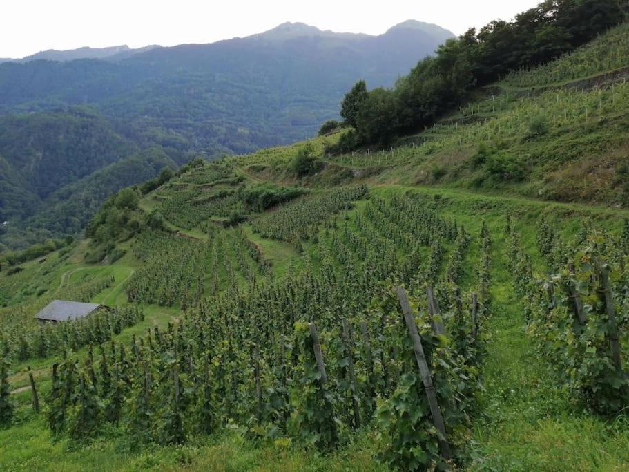 Chalet View On Vanoise Mountain - 3 Bedrooms 70M2 Cevins Ngoại thất bức ảnh